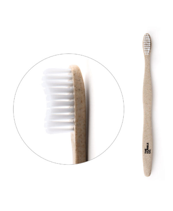 cornstarch toothbrush 850X1034